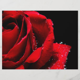 Red rose flyer