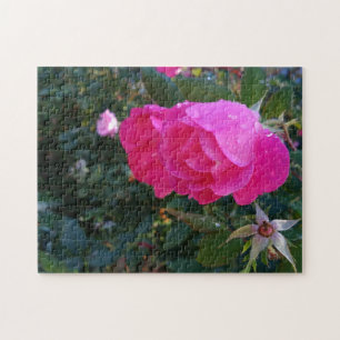Red rose garden flower jigsaw puzzle