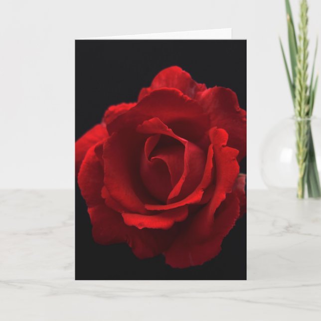 Red Rose gca Card (Front)