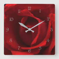 Red Rose Grey Script Numbers wccn