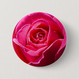Red rose growing in a garden 2 inch round button