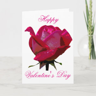 red rose Happy Valentine's Day Holiday Card