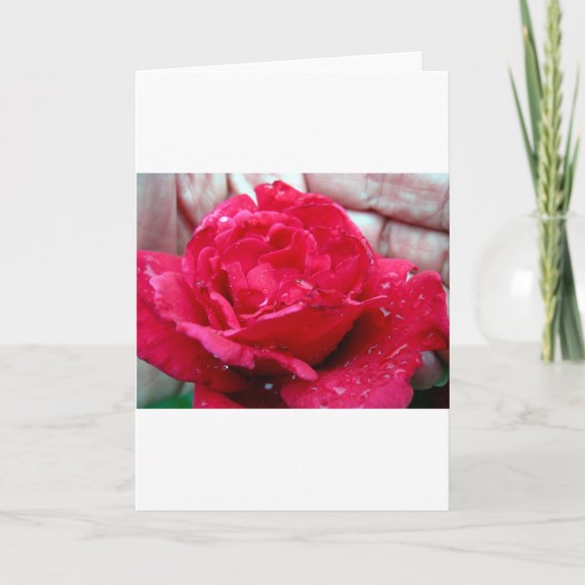 Red Rose Holiday Card (Front)
