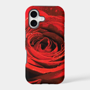 Red rose I-phone barely there case