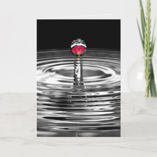 red rose in water droplet sympathy card