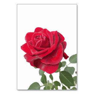 Red Rose Invitation - symbol of love Table Number
