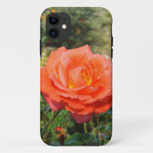 Red Rose iPhone 5 Case-Mate 11 Case