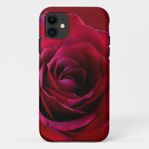 Red Rose iPhone 5 Coque Rose classique coque iphon