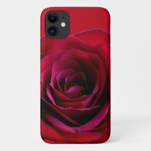 Red Rose iPhone Cases Roses iPhone Cases