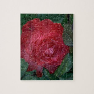 Red Rose Jigsaw Puzzle