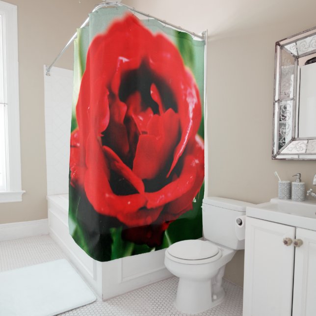 Red Rose Love  (In Situ)
