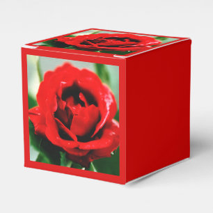 Red Rose Love Favor Box