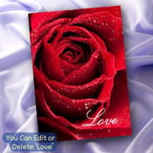 Red Rose Love Relationship Friendships All Purpose