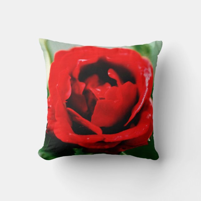 Red Rose Love  Throw Pillow (Front)