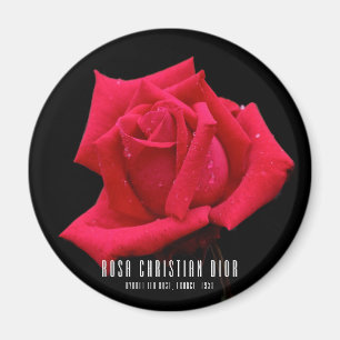 Red Rose Magnet
