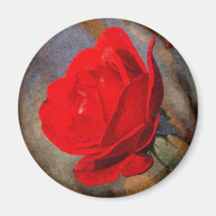 Red Rose Magnet