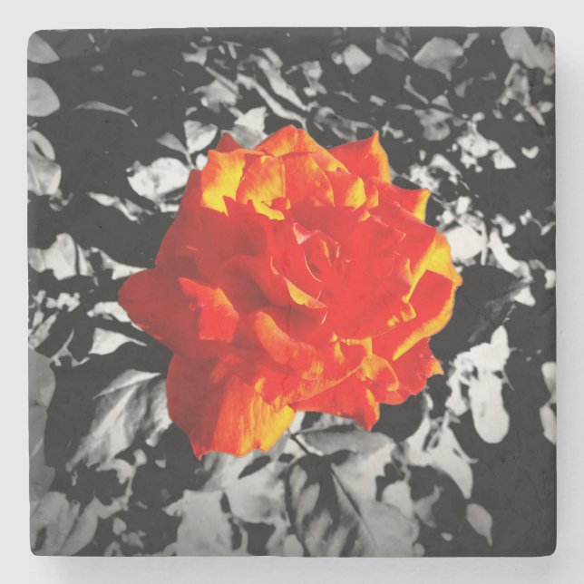 Red rose Marble Stone Coaster (Front)
