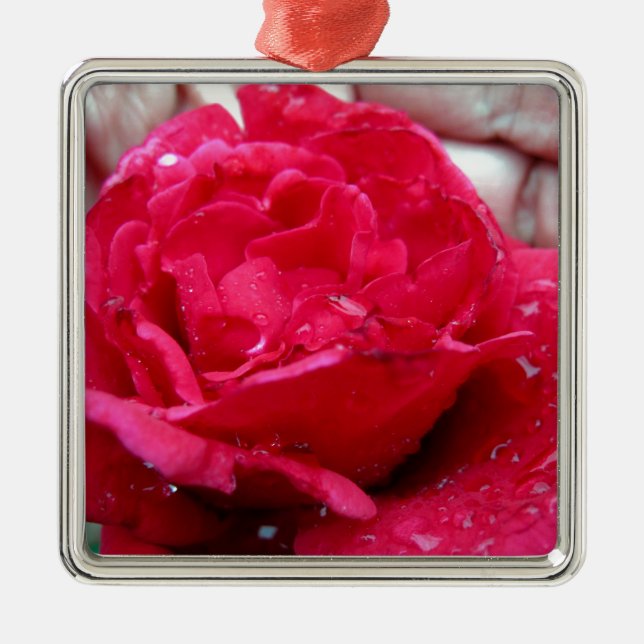 Red Rose Metal Ornament (Front)