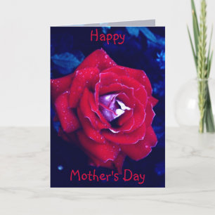 Red Rose - Mother's Day Card
