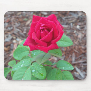 Red Rose Mouse Pad