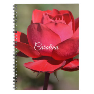 Red Rose Notebook