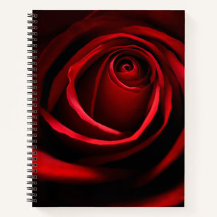 Red Rose Notebook