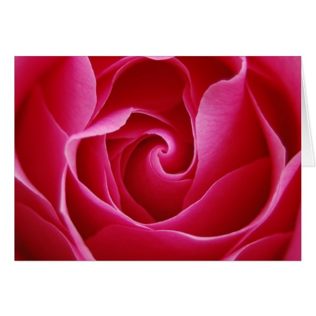 Red Rose Notecard (Front Horizontal)