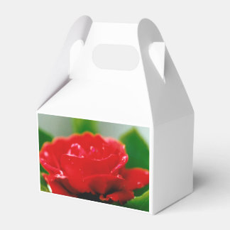Red Rose of passion covered with dew drops Favor Box