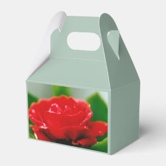 Red Rose of passion covered with dew drops Favor Box