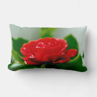 Red Rose of passion covered with dew drops Lumbar Pillow
