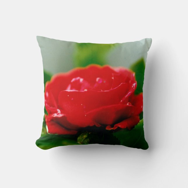Red Rose of passion covered with dew drops  Throw Pillow (Front)