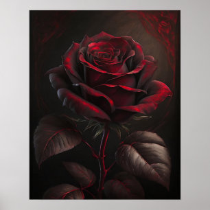 Red rose on a dark background poster
