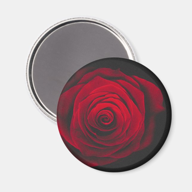 Red rose on black background vintage effect magnet (Front/Back)