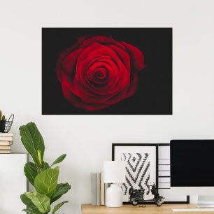 Red rose on black background vintage effect poster