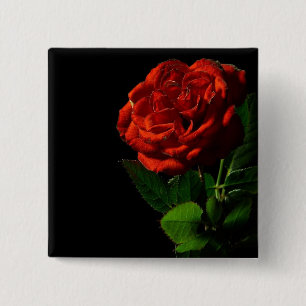 Red Rose on Black Floral 2 Inch Square Button