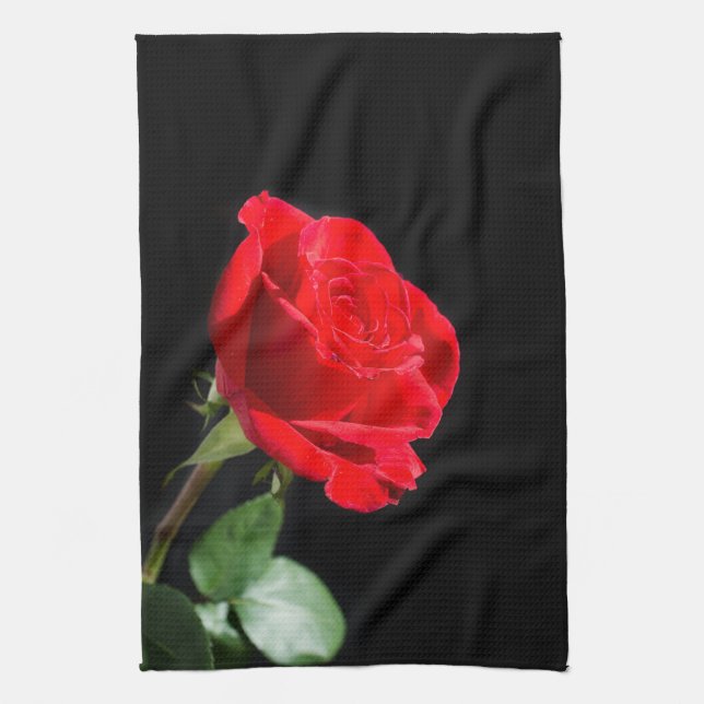 Red rose on black kitchen towel (Vertical)