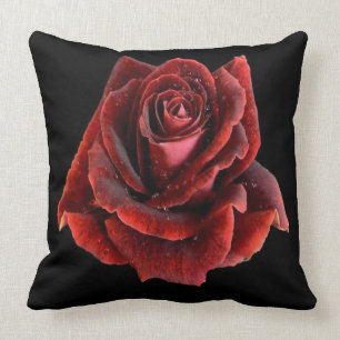 Red Rose on Black Pillow Cushion