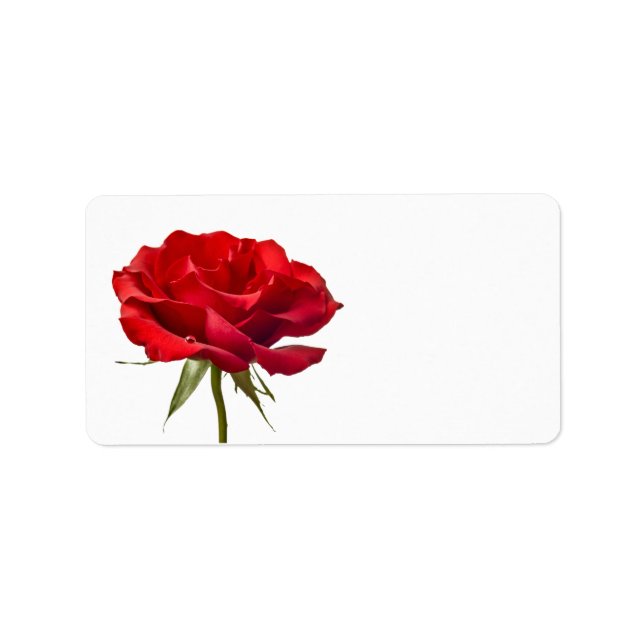 Red Rose on White - Customized Roses Template Label (Front)