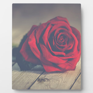 Red Rose on Wooden Floorboards Art Print Plaque