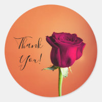 Red Rose Orange Sunset Romantic Wedding  