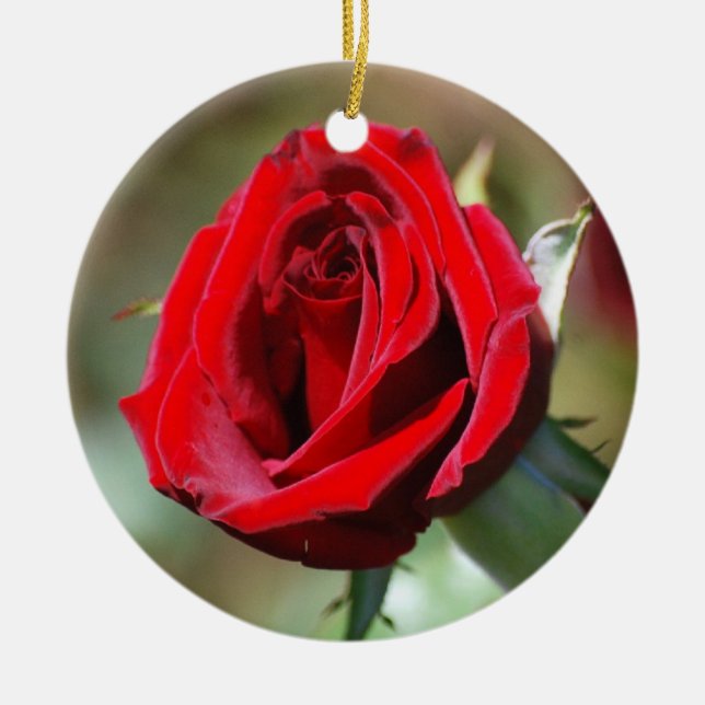Red Rose Ornament (Front)