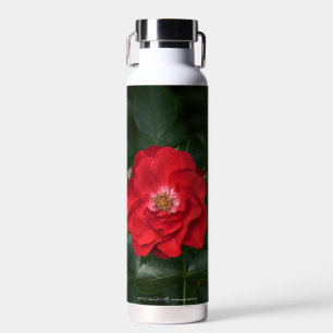 Red Rose P6568 Water Bottle