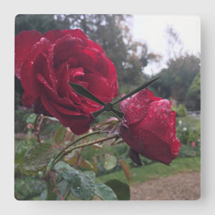 Red Rose Pair Square Wall Clock