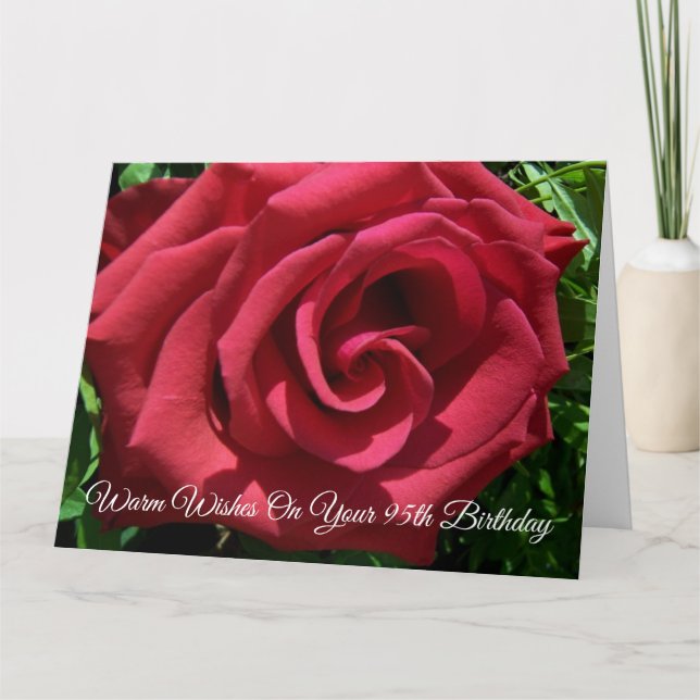 Red Rose Personalised 95th Birthday Card (Front)