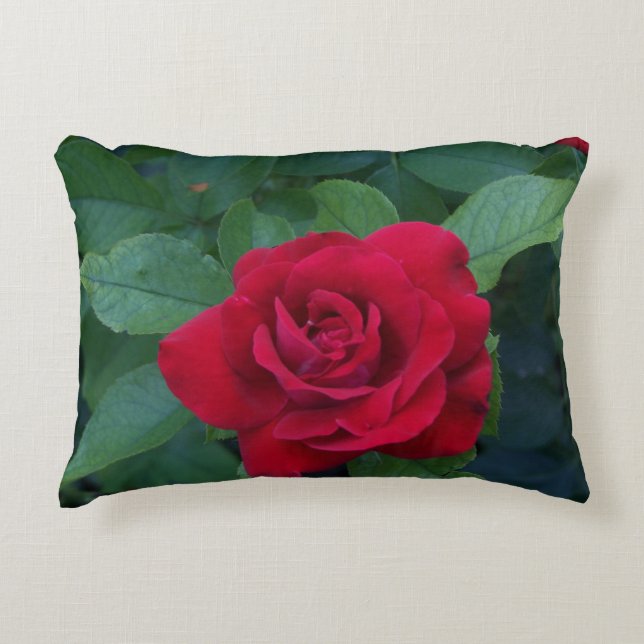 Red Rose Photo Accent Pillow (Front)