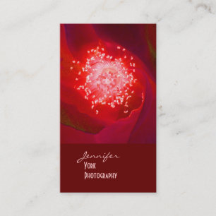 Red Rose photography business cards