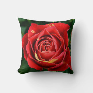 Red Rose Photography  Throw Pillow