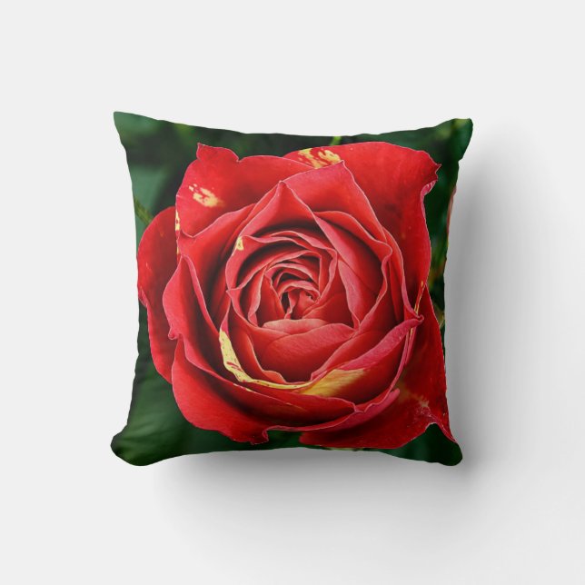 Red Rose Photography  Throw Pillow (Front)