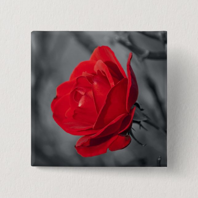 Red Rose Pin (Front)