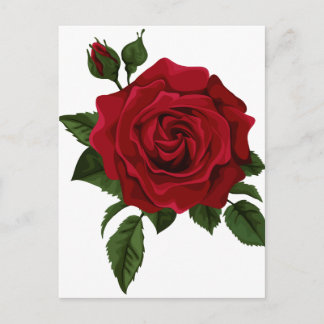 Red rose postcard